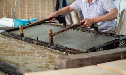 How will the Brazilian floods hit the pulp and paper industry？